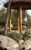 Туры в отель Wuyi Tangfeng Hot Spring Resort
