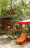 Туры в отель Wuyi Tangfeng Hot Spring Resort