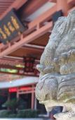 Туры в отель Wuyi Tangfeng Hot Spring Resort