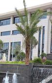 Туры в отель Yinruilin International Hotel