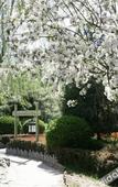 Туры в отель Jiu Hua Spa & Resort