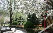 Туры в отель Jiu Hua Spa & Resort
