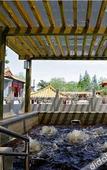 Туры в отель Jiu Hua Spa & Resort