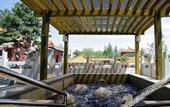 Туры в отель Jiu Hua Spa & Resort