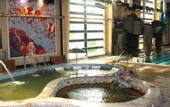 Туры в отель Nangong Spring Season Hotel
