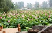 Туры в отель Rylinwon Resort & Spa