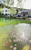 Туры в отель Jiuhuashan Wuxi Shanse Hotel