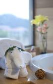 Туры в отель WUYI MOUNTAIN DAHONGPAO RESORT