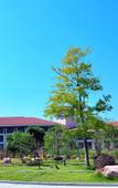 Туры в отель WUYI MOUNTAIN DAHONGPAO RESORT
