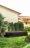Туры в отель Meihai Hotel Wuyishan