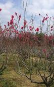 Туры в отель NKS Hotspring Grand View Garden