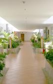 Туры в отель NKS Hotspring Grand View Garden