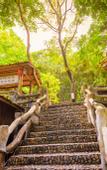 Туры в отель Jiuzhou Yizhan Resort (Yingde Tianmengou)
