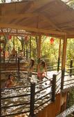 Туры в отель Jiuzhou Yizhan Resort (Yingde Tianmengou)