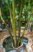 Туры в отель Jiuzhou Yizhan Resort (Yingde Tianmengou)