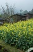 Туры в отель Jiuzhou Yizhan Resort (Yingde Tianmengou)
