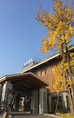 Туры в отель Huifeng Hotel