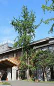 Туры в отель Huifeng Hotel