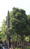 Туры в отель Huifeng Hotel