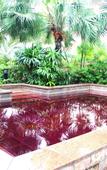 Туры в отель Luofushan Jiabaotian International Hotspring Resort