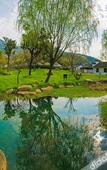 Туры в отель Dapengshan Hotel