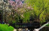 Туры в отель Dapengshan Hotel