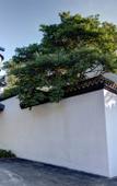 Туры в отель Dapengshan Hotel