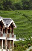 Туры в отель Ming Resort & Spa