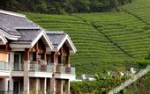 Туры в отель Ming Resort & Spa