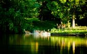 Туры в отель Zhi Resort