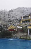 Туры в отель First Forest Hot Spring Hotel FLOWER BAY