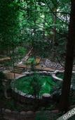 Туры в отель First Forest Hot Spring Hotel FLOWER BAY