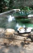 Туры в отель First Forest Hot Spring Hotel FLOWER BAY