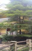 Туры в отель First Forest Hot Spring Hotel FLOWER BAY