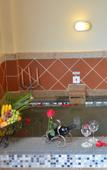 Туры в отель Tritonbay Saltwater Hotspring Resort