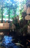 Туры в отель Huidu Hotel