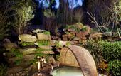 Туры в отель Banyan Tree Tengchong