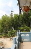 Туры в отель Floral Hotel·Huangshan shi’shangyisu hotel (Hongcun scenic area)