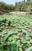 Туры в отель Bailu Hotspring Hotel