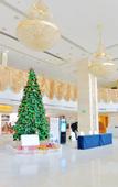 Туры в отель Bailu Hotspring Hotel