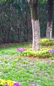 Туры в отель Magnotel Hotel (Yixing Bus Station Tuanji Scenic Area)