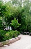Туры в отель Century Huatian Hotel