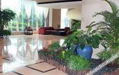 Туры в отель Hailiang Business Hotel