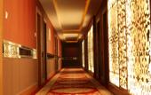 Туры в отель Maoxian International Hotel