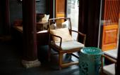 Туры в отель Jinzhai Inn