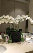 Туры в отель Dolton Changsha Spa Hotel