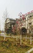 Туры в отель Zhongjia Palace Hot Spring Hotel