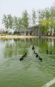 Туры в отель Zhongjia Palace Hot Spring Hotel