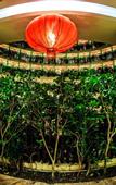 Туры в отель Cloud Nine Resort Hotel