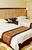 Туры в отель Qianjun International Hotel